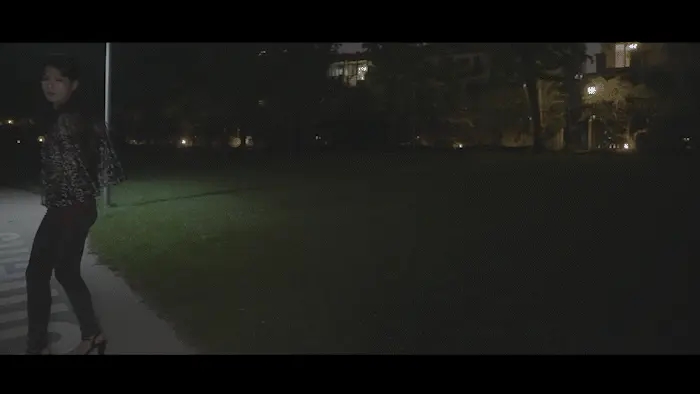 [Peninsula Shuyi Terrace][Ze Ai] Community Cat Walking