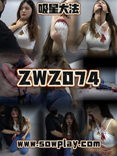 [SowPlay]Z074-vv VS wjn