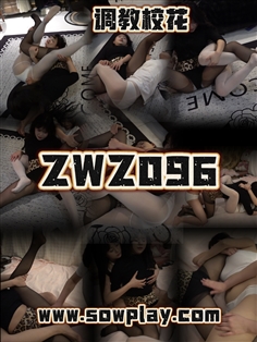 [SowPlay]Z096-mini VS lizhi VS fuyao