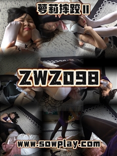[SowPlay]Z098-fuyao VS mini