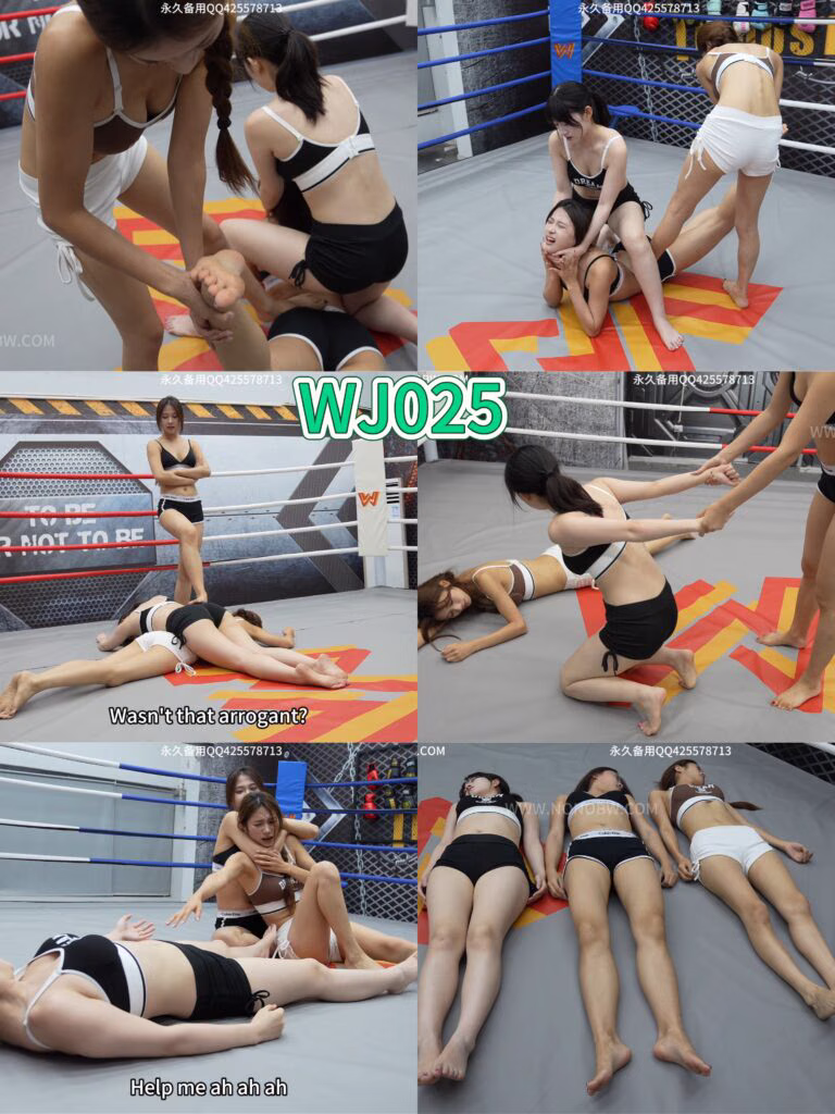 [NONOBW]WJ025